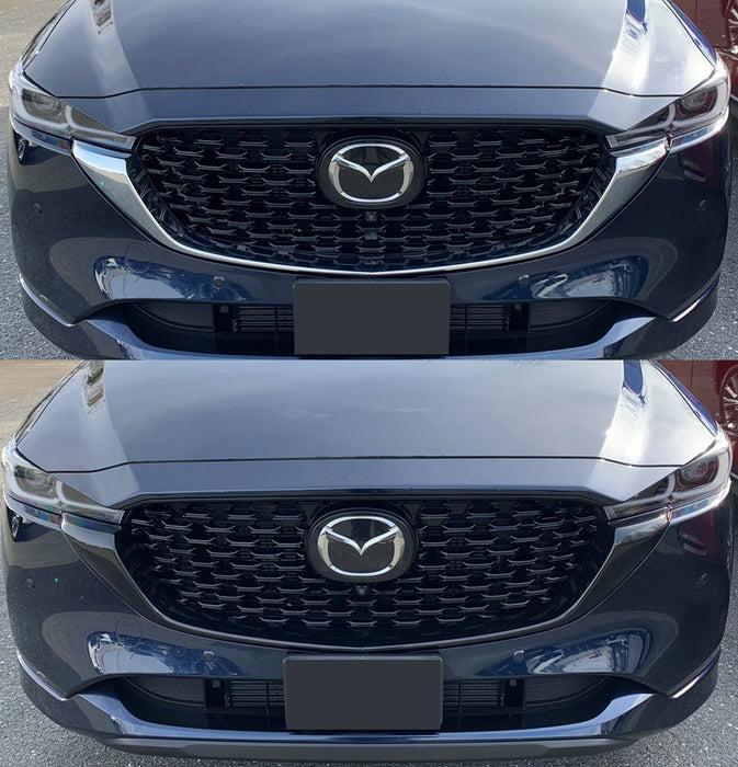 Chrome Delete Grille Overlay - ABS6579BLK