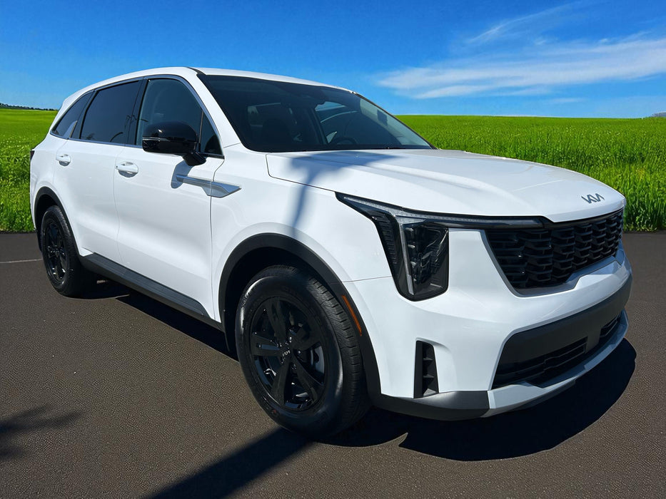 White SUV parked on a road with a green field and blue sky in the background